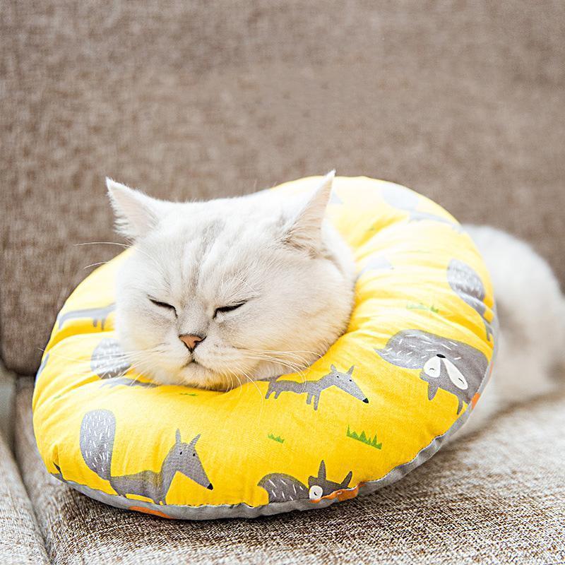 Collier anti-morsure Lighteme Elizabeth Circle réglable pour chat (4 couleurs et 4 tailles)