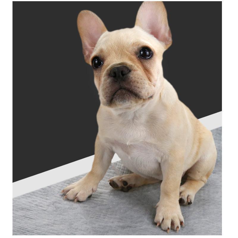 Lingettes anti-odeurs au charbon de bambou Lighteme (100 feuilles)