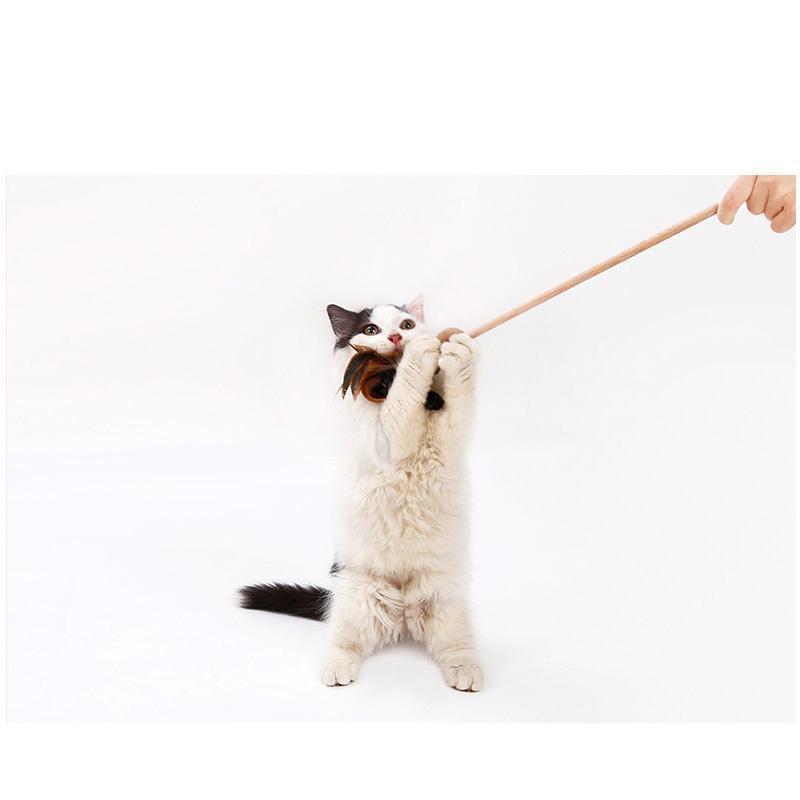 Lighteme Glockenfeder-Katzenspielzeug