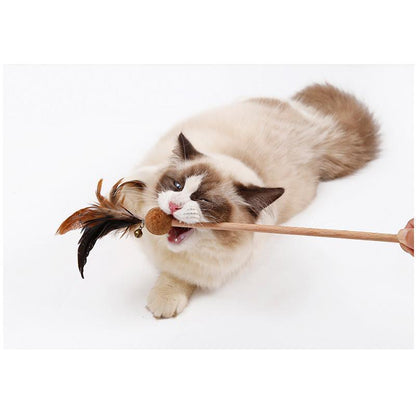 Lighteme Glockenfeder-Katzenspielzeug