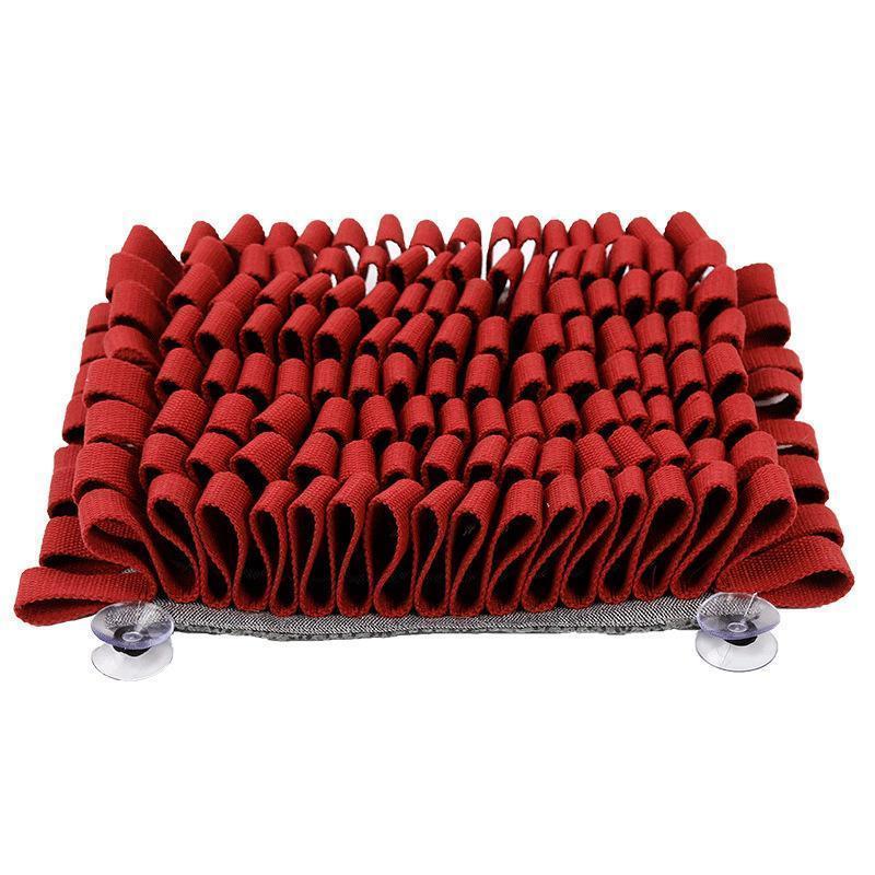 Lighteme Bissfestes Intelligenzspielzeug für Hunde (4 Farben)