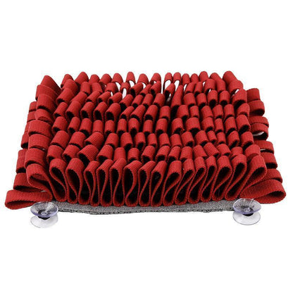 Lighteme Bissfestes Intelligenzspielzeug für Hunde (4 Farben)