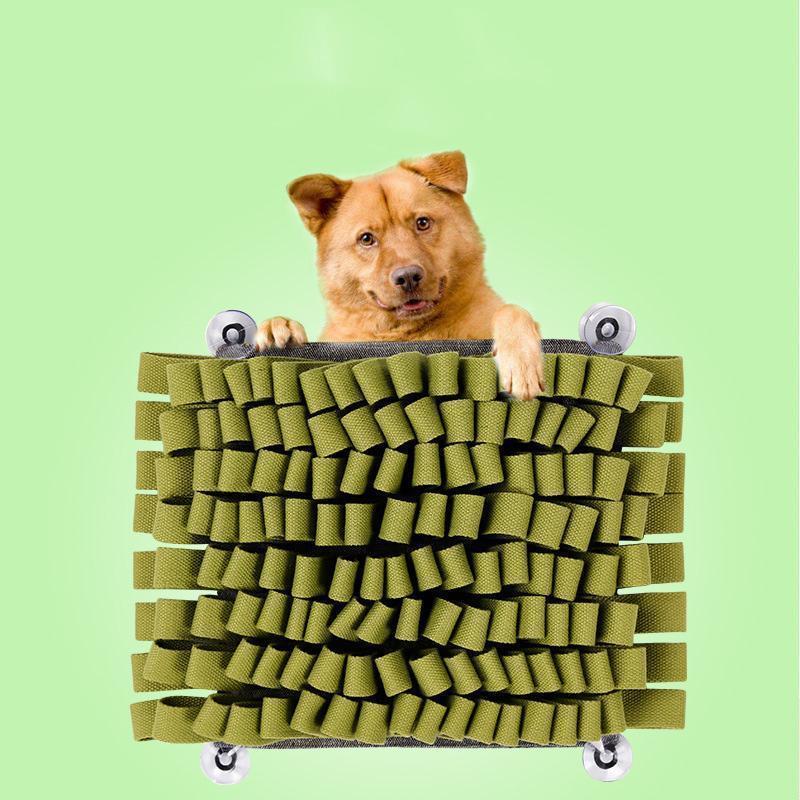 Lighteme Bissfestes Intelligenzspielzeug für Hunde (4 Farben)