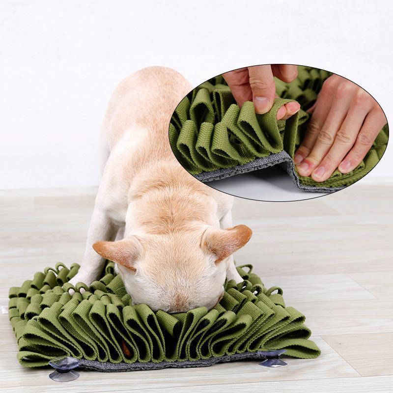 Lighteme Bissfestes Intelligenzspielzeug für Hunde (4 Farben)