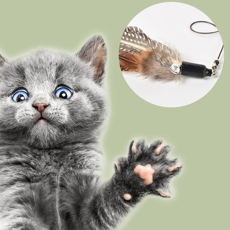 Lighteme Bling Training Lustiges Katzen-Spielzeug (2 Farben)