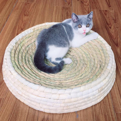 Griffoir pour chat Lighteme en forme de bol (4 tailles)