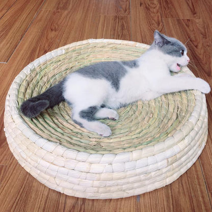 Griffoir pour chat Lighteme en forme de bol (4 tailles)