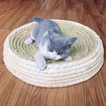 Griffoir pour chat Lighteme en forme de bol (4 tailles)