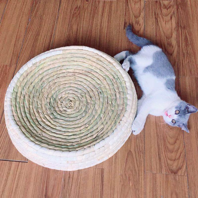 Griffoir pour chat Lighteme en forme de bol (4 tailles)