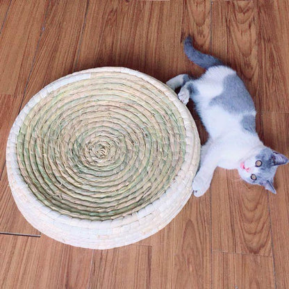 Griffoir pour chat Lighteme en forme de bol (4 tailles)