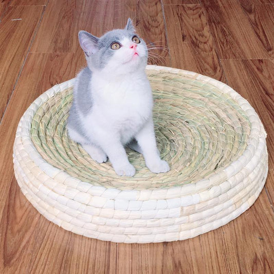 Griffoir pour chat Lighteme en forme de bol (4 tailles)