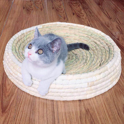 Griffoir pour chat Lighteme en forme de bol (4 tailles)