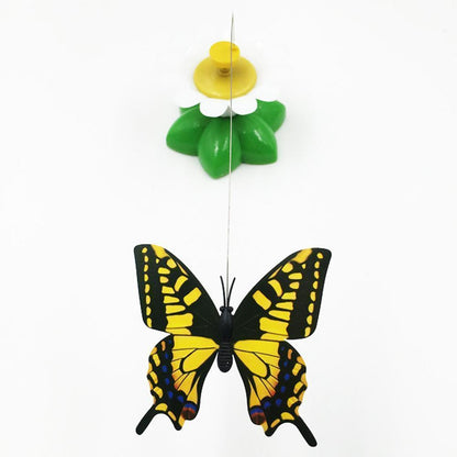 Jouet interactif Lighteme pour chats (3 modèles)