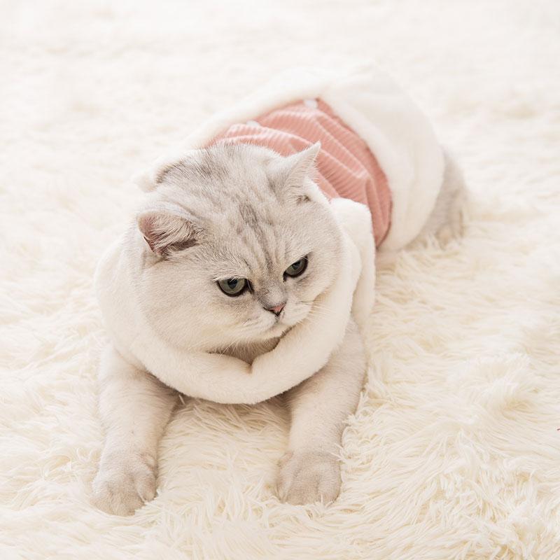 Lighteme Cat Winter-Cordweste aus dickem Cord (5 Farben)