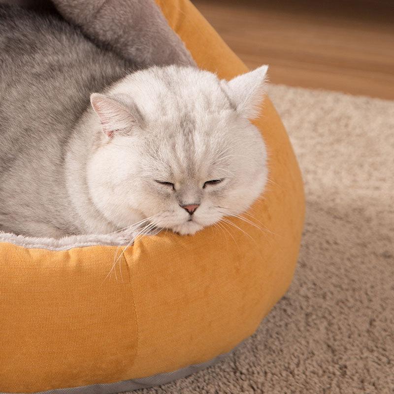 Maison pour chat semi-fermée détachable Lighteme