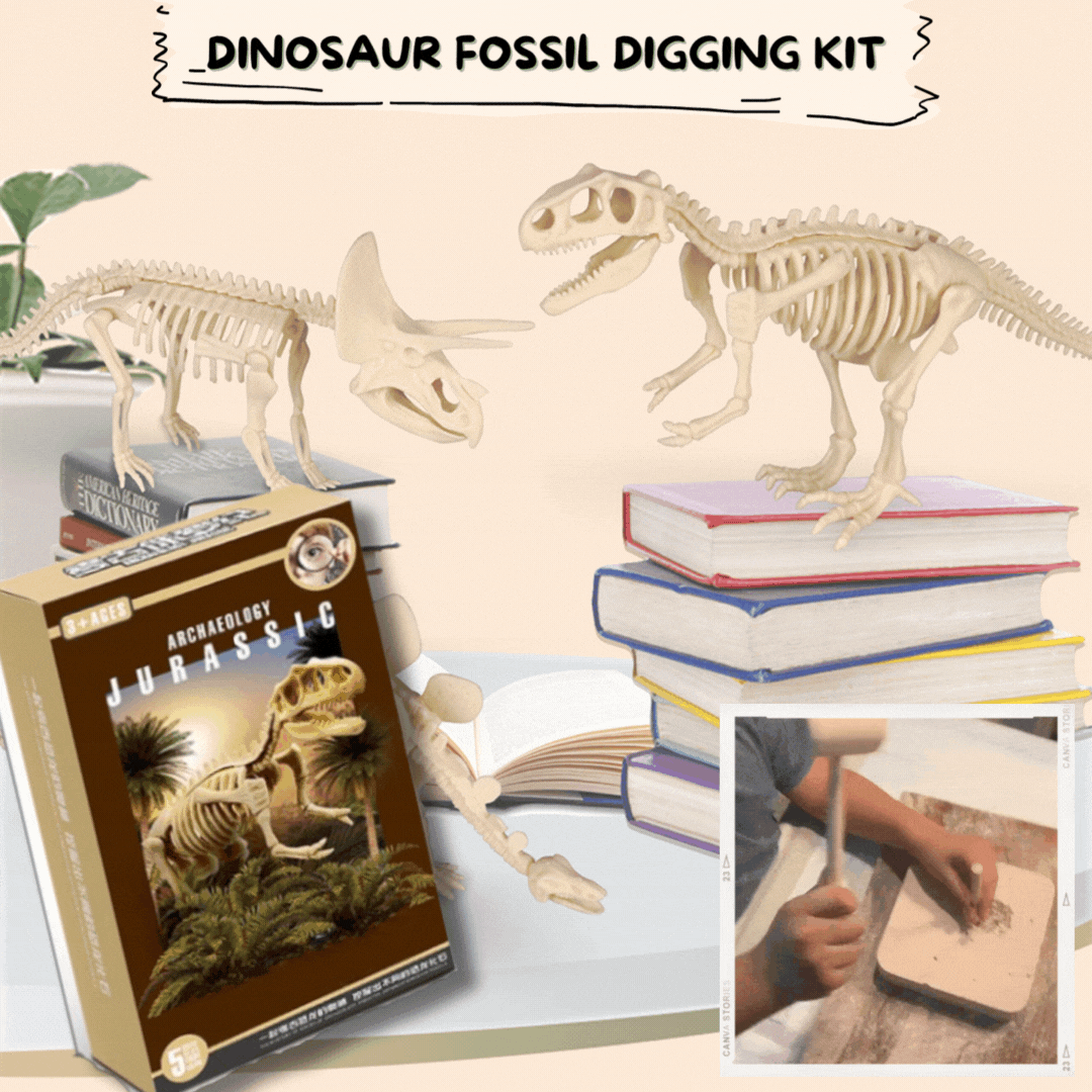 Kit de fouille de fossiles de dinosaures Lighteme pour enfants - Ensemble complet