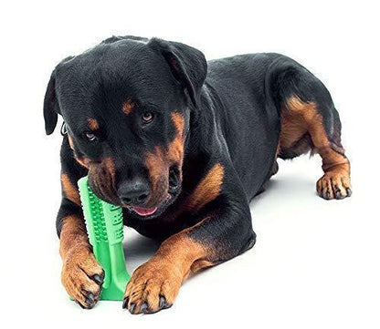 Brosse à dents Lighteme pour animaux de compagnie, bâtonnet de brossage pour chiens et chiots, soins dentaires (2 couleurs)