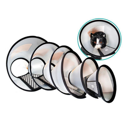 Collier médical Elizabeth pour chiens et chats Lighteme (7 modèles)