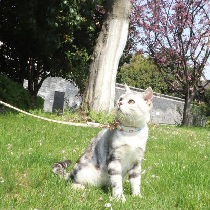 Lighteme Hundehalsband, modisch, verstellbarer Halsriemen (3 Farben &amp; 5 Größen)