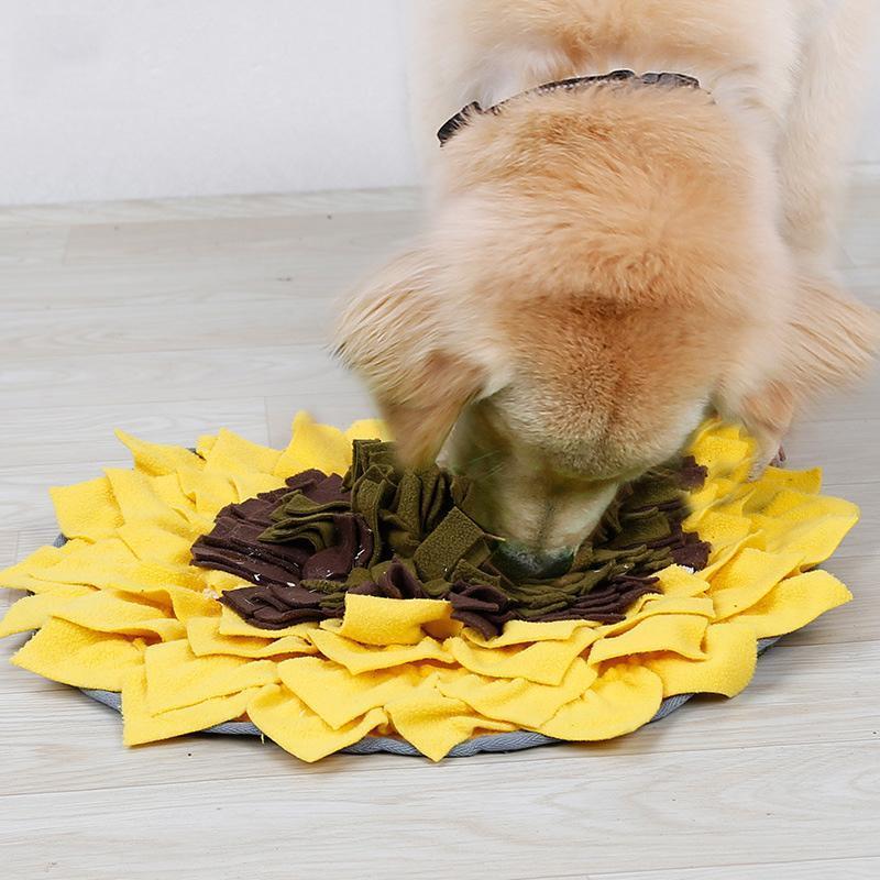 Lighteme Hunde-Fresstrainingspad Sonnenblume