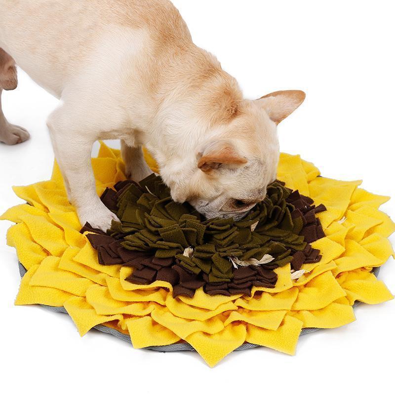 Lighteme Hunde-Fresstrainingspad Sonnenblume