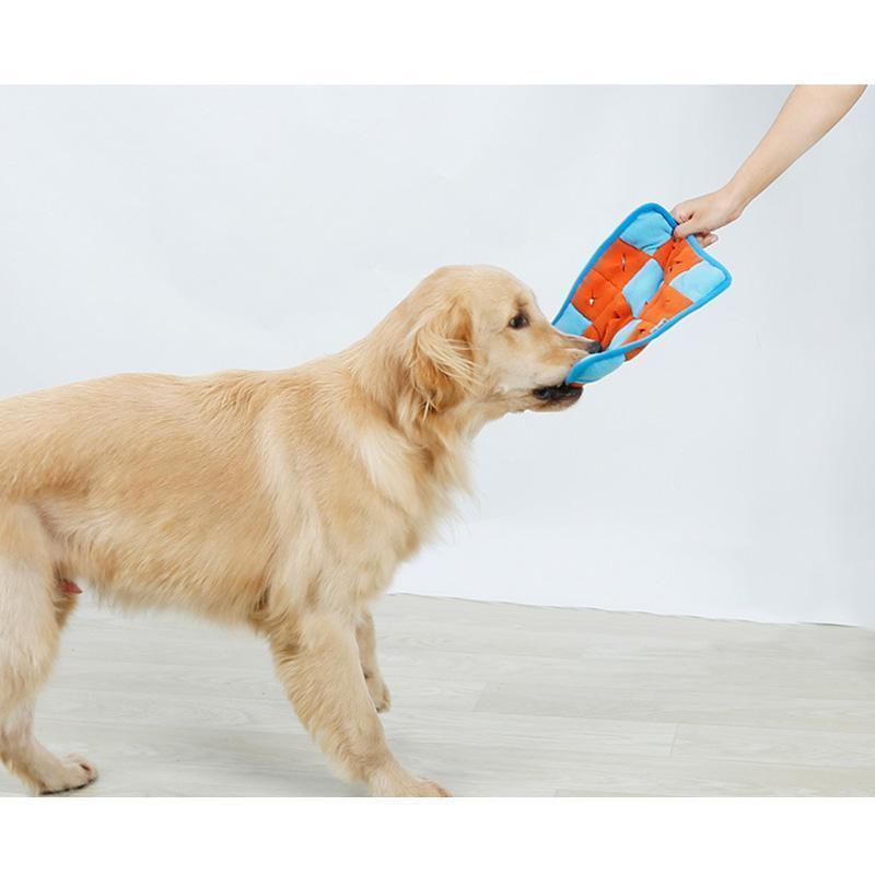 Tapis d'alimentation Lighteme pour l'entraînement olfactif des chiens