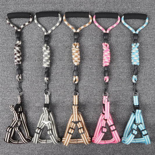 Lighteme Dog Leash With Foam Handle