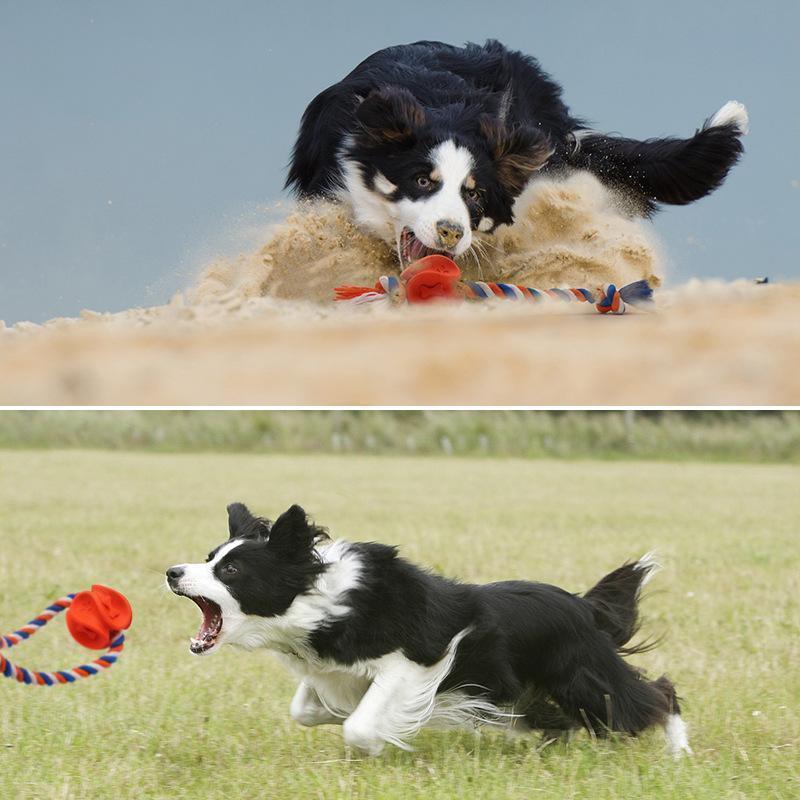 Jouet à mâcher Lighteme pour chien, en corde de caoutchouc, pour nettoyer les molaires (2 couleurs et 2 tailles)