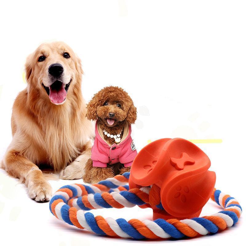 Jouet à mâcher Lighteme pour chien, en corde de caoutchouc, pour nettoyer les molaires (2 couleurs et 2 tailles)