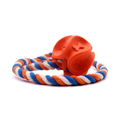 Jouet à mâcher Lighteme pour chien, en corde de caoutchouc, pour nettoyer les molaires (2 couleurs et 2 tailles)