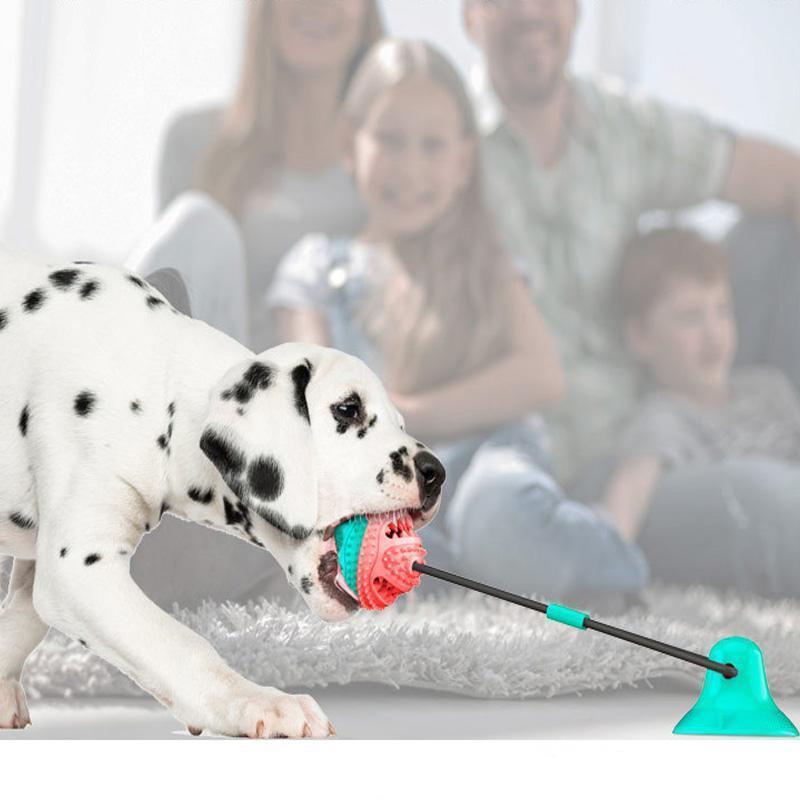 Lighteme Hundespielzeug mit Saugnapf, Kauball (5 Farben)