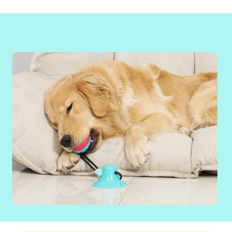 Lighteme Hundespielzeug mit Saugnapf, Kauball (5 Farben)