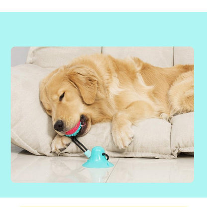 Lighteme Hundespielzeug mit Saugnapf, Kauball (5 Farben)