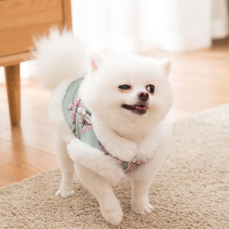 Costume d'hiver chaud pour chien Lighteme Tang (6 tailles)