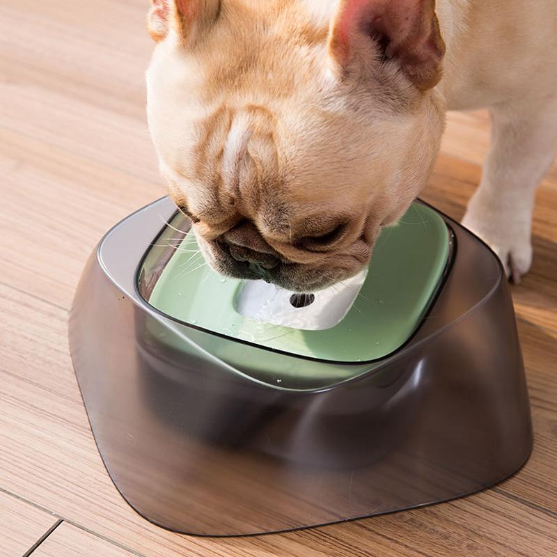 Lighteme Hunde-Futter- und Wassernapf – Spritzschutz (3 Farben)