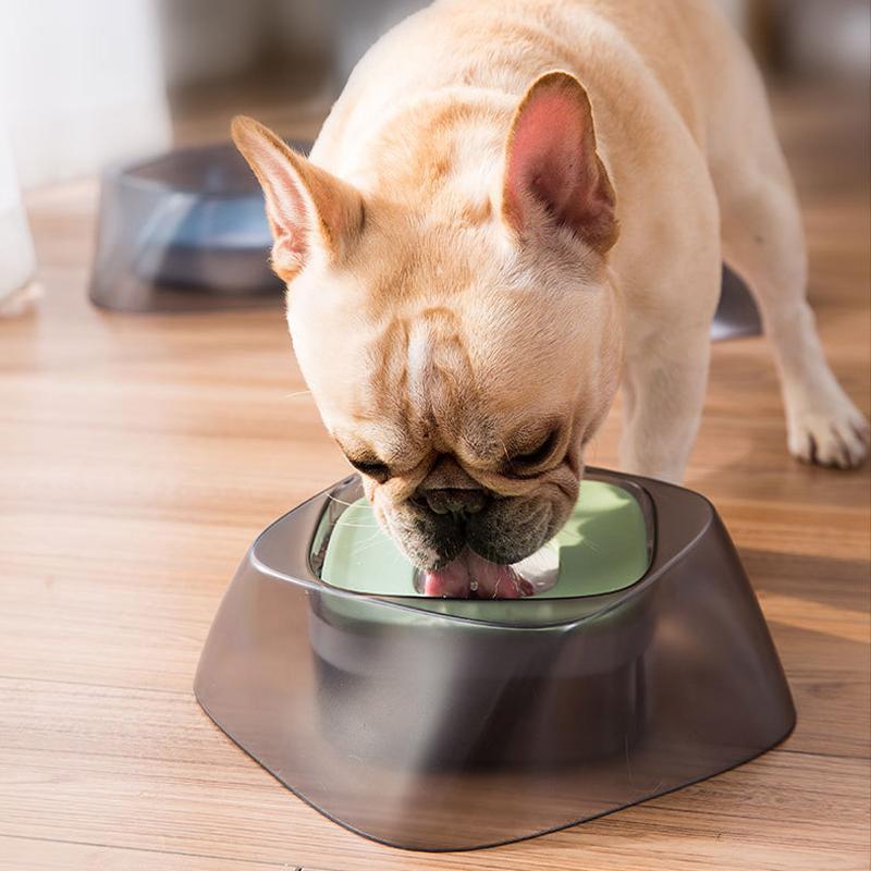 Lighteme Hunde-Futter- und Wassernapf – Spritzschutz (3 Farben)