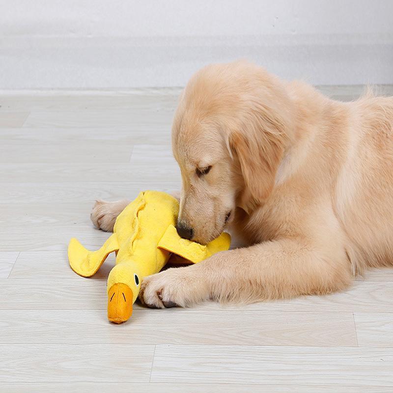 Peluche pour chien Lighteme en forme de canard