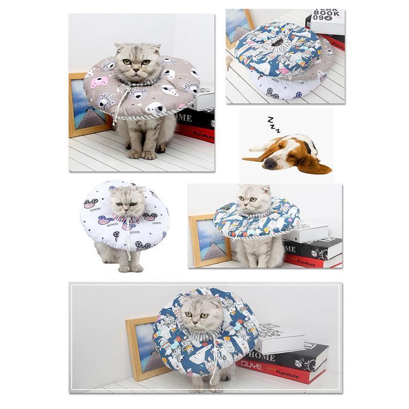 Collier anti-morsure pour chat Lighteme Elizabeth Circle (3 couleurs)