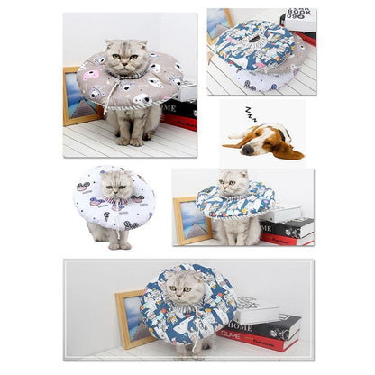 Collier anti-morsure pour chat Lighteme Elizabeth Circle (3 couleurs)