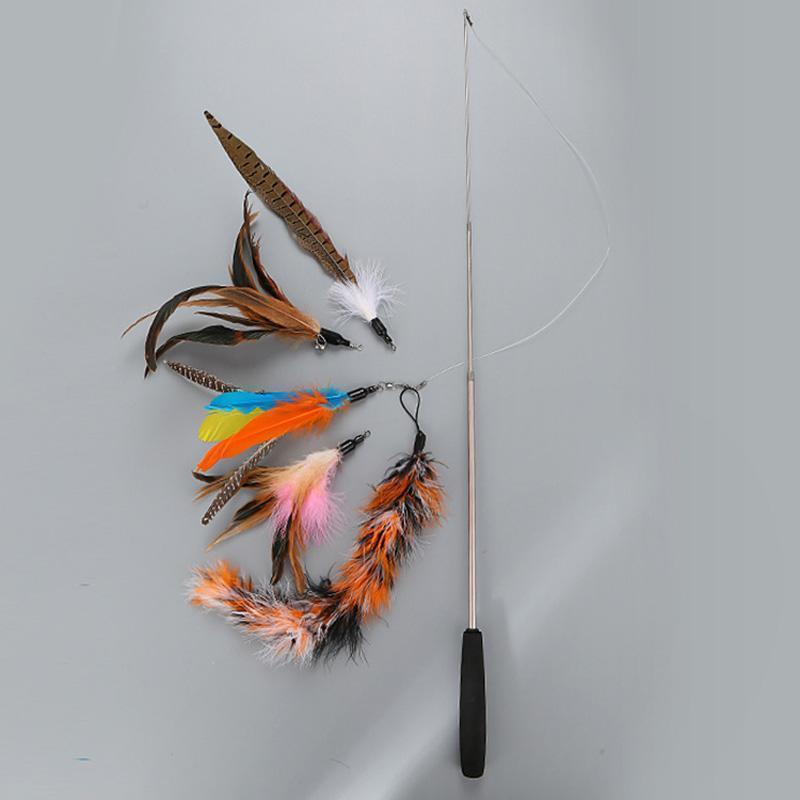 Ensemble de jouets pour chat Lighteme avec canne à pêche et plumes