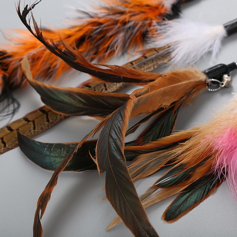 Ensemble de jouets pour chat Lighteme avec canne à pêche et plumes