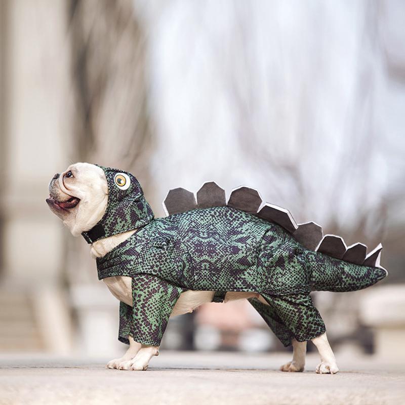 Lighteme Lustige Niedliche Haustier Cosplay Kleidung Dinosaurier (5 Größen)