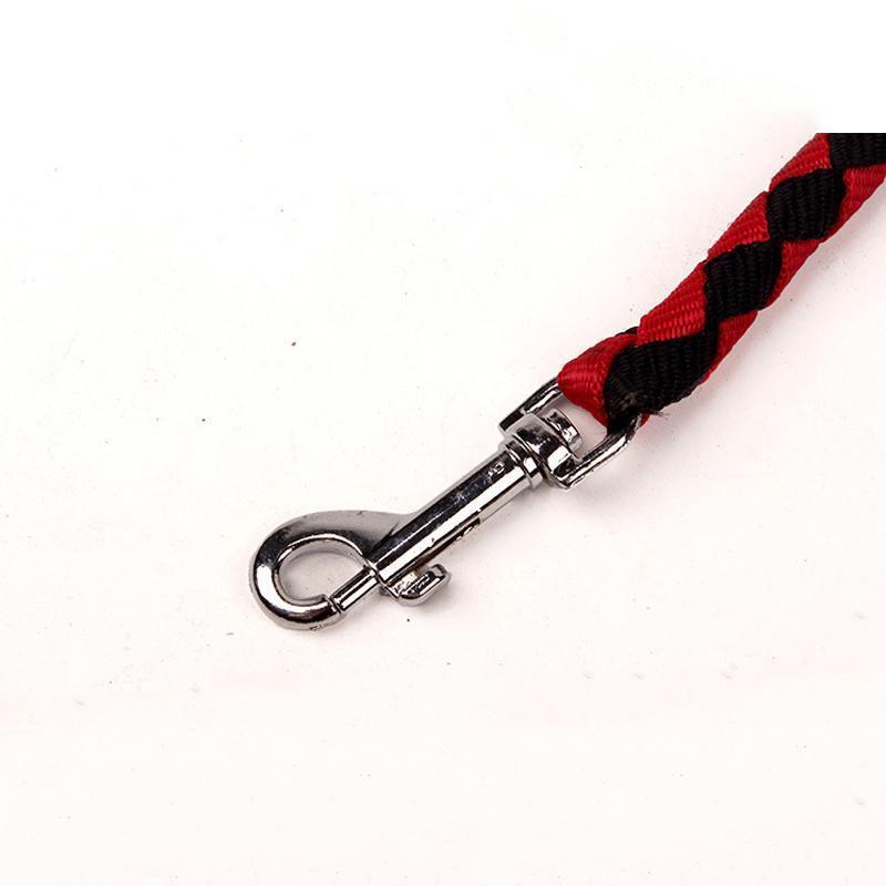 Laisse double tête Lighteme de haute qualité (4 couleurs)