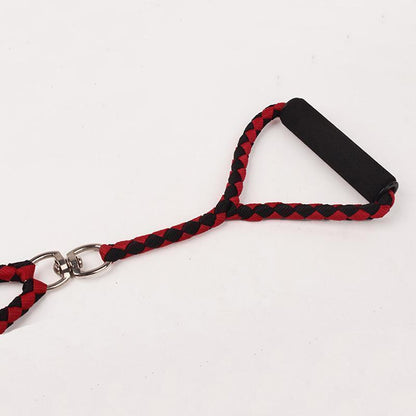 Laisse double tête Lighteme de haute qualité (4 couleurs)