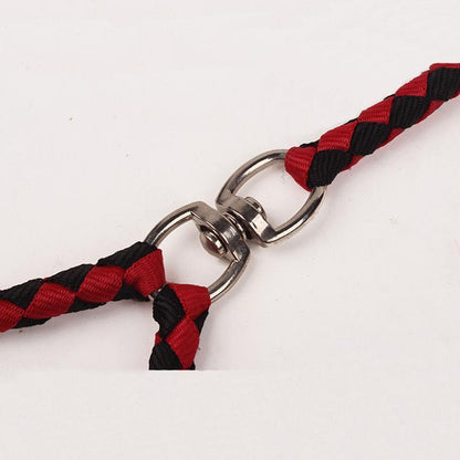 Laisse double tête Lighteme de haute qualité (4 couleurs)