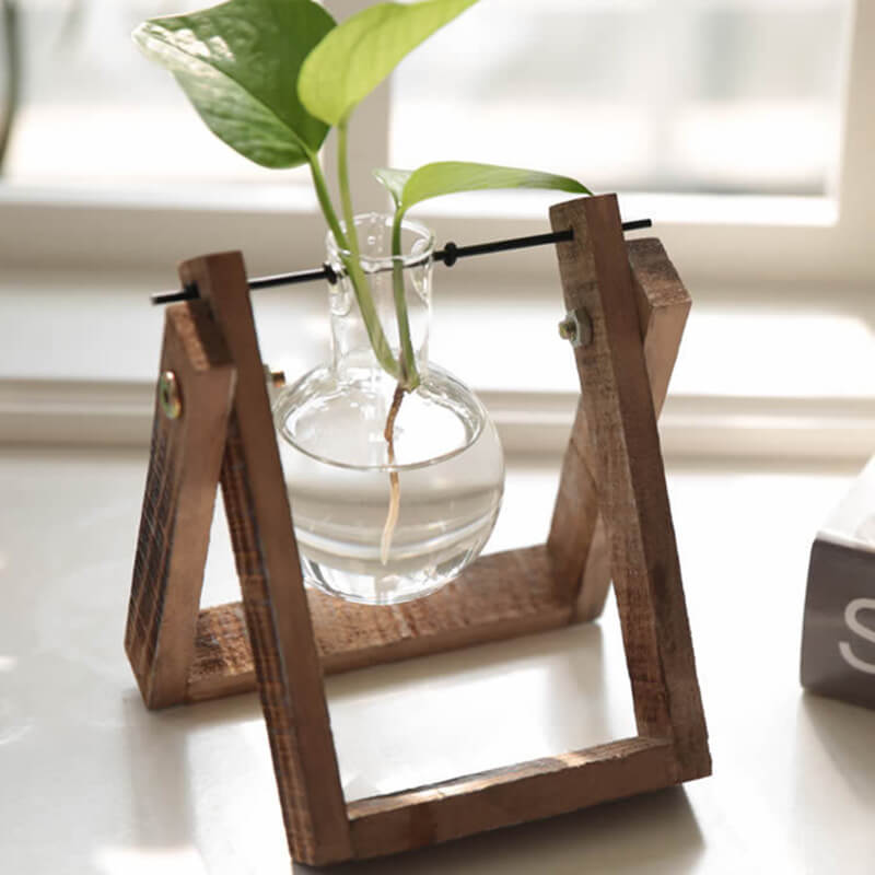 Lighteme Hydroponic Plant Glass Vase