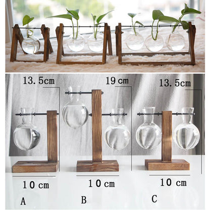 Lighteme Hydroponic Plant Glass Vase