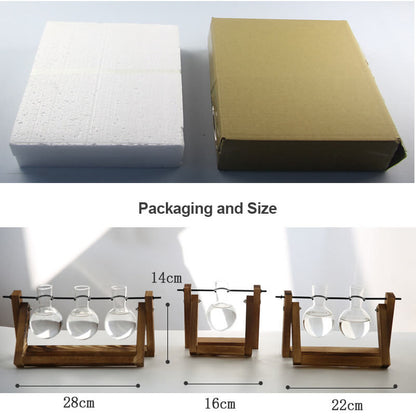 Lighteme Hydroponic Plant Glass Vase
