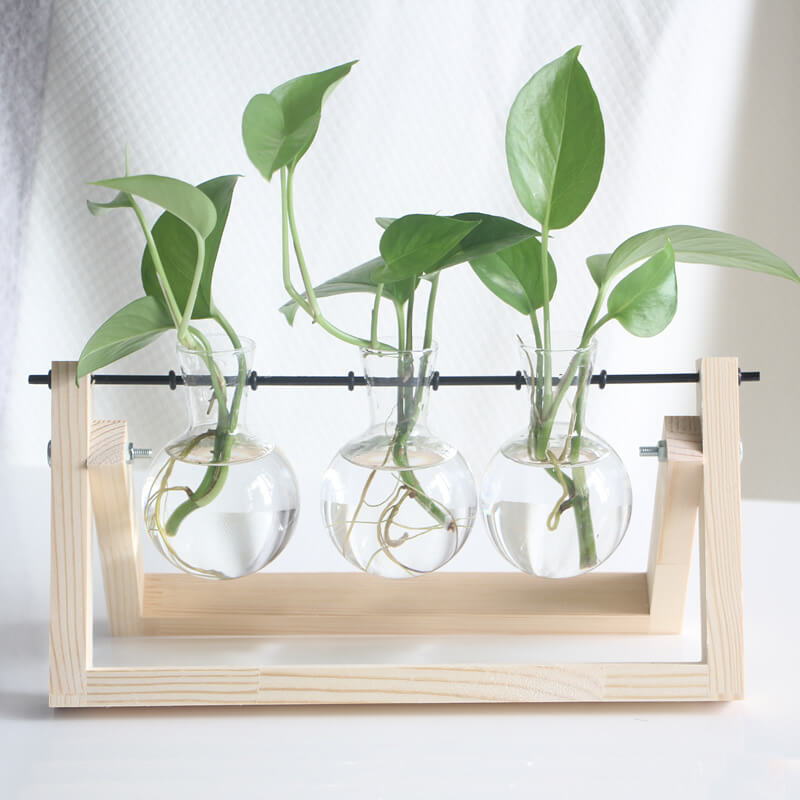 Lighteme Hydroponic Plant Glass Vase