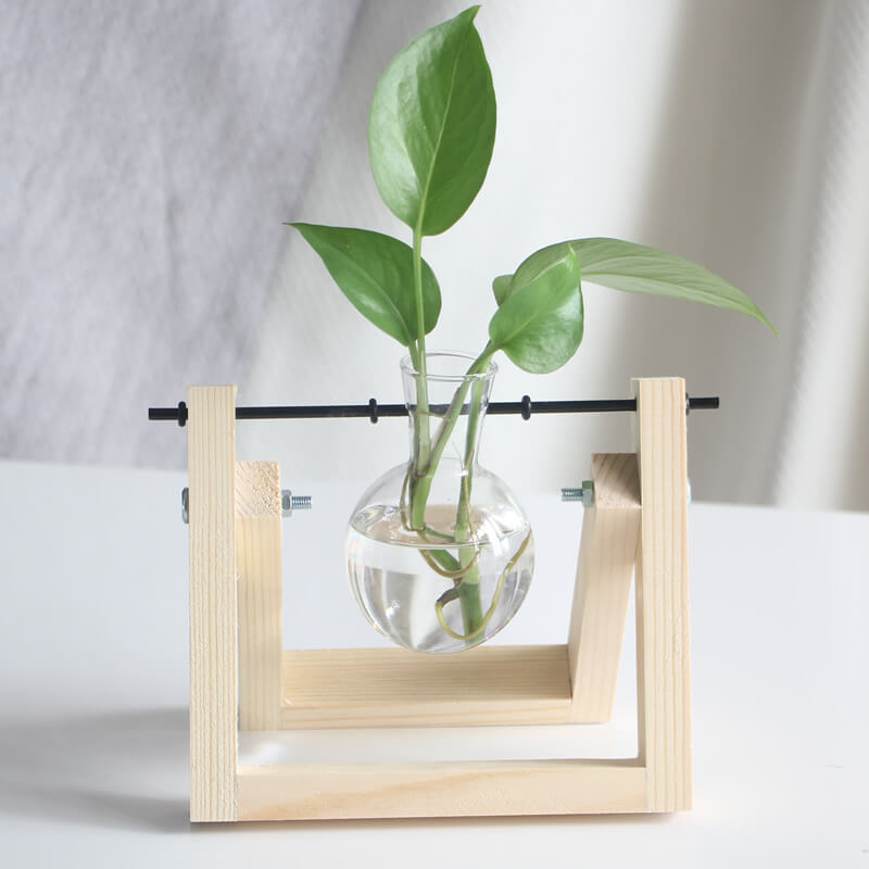 Lighteme Hydroponic Plant Glass Vase